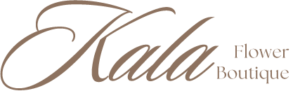 logo main